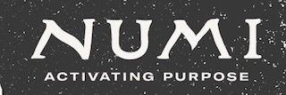 Numi Organic Tea