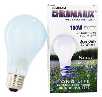 Image of Frosted Light Bulb A21-100W