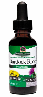 Image of Burdock Root Liquid Alcohol Free