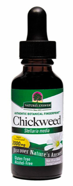 Image of Chickweed Liquid Alcohol Free