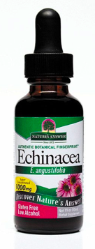Image of Echinacea Liquid Low Alcohol