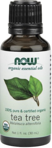 Image of Essential Oil Tea Tree Organic