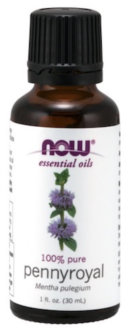 Image of Essential Oil Pennyroyal