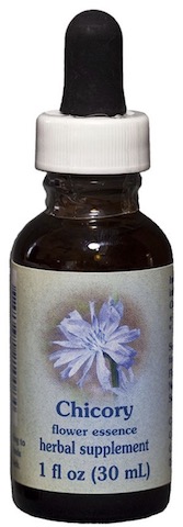 Image of Flower Essence Chicory Dropper