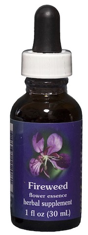 Image of Flower Essence Fireweed Dropper