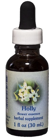 Image of Flower Essence Holly Dropper