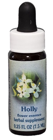 Image of Flower Essence Holly Dropper