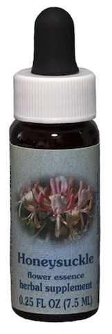 Image of Flower Essence Honeysuckle Dropper