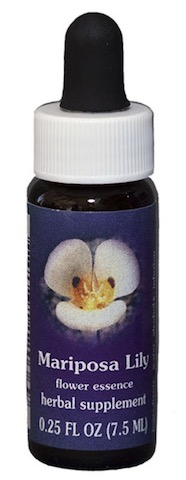 Image of Flower Essence Mariposa Lily Dropper