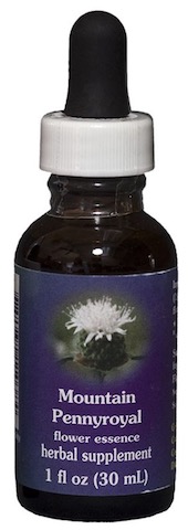 Image of Flower Essence Mountain Pennyroyal Dropper