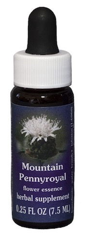 Image of Flower Essence Mountain Pennyroyal Dropper
