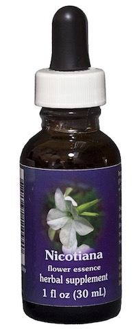 Image of Flower Essence Nicotiana Dropper