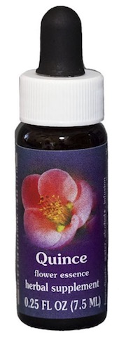 Image of Flower Essence Quince Dropper