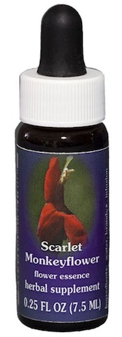 Image of Flower Essence Scarlet Monkeyflower Dropper