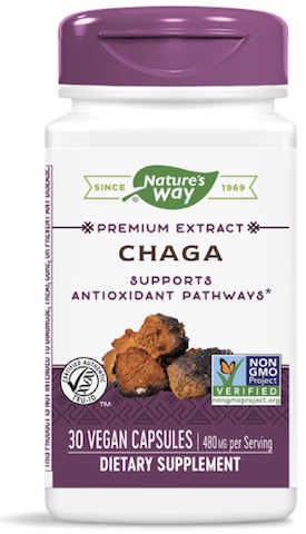 Image of Chaga 480 mg Standardized