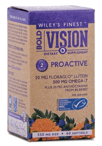 Image of Bold Vision: Proactive