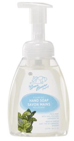 Image of Foaming Hand Soap Frosted Mint