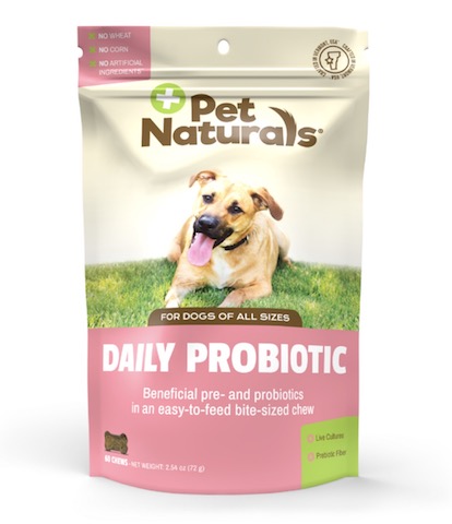 Image of Daily Probiotic for Dogs Chewable
