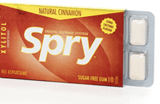 Image of Chewing Gum Xylitol Cinnamon