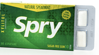 Image of Chewing Gum Xylitol Spearmint