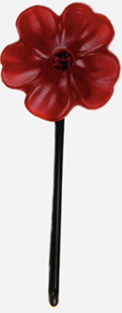 Image of Begonia Bobby Pin Milky Flower Red