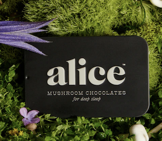 Image of Mushroom Chocolate NightCap (for deep sleep)