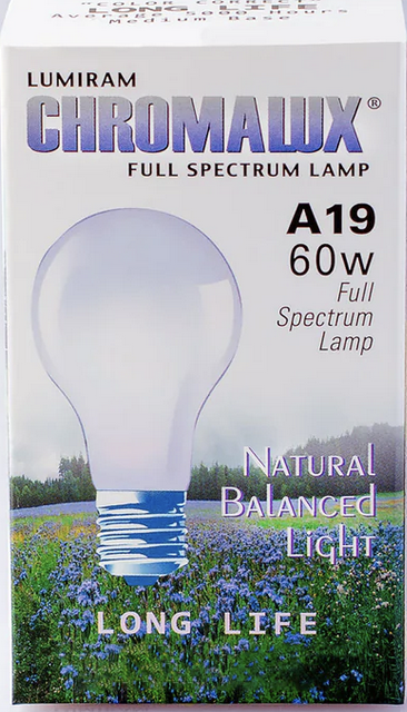 Image of Clear Light Bulb A19-60W