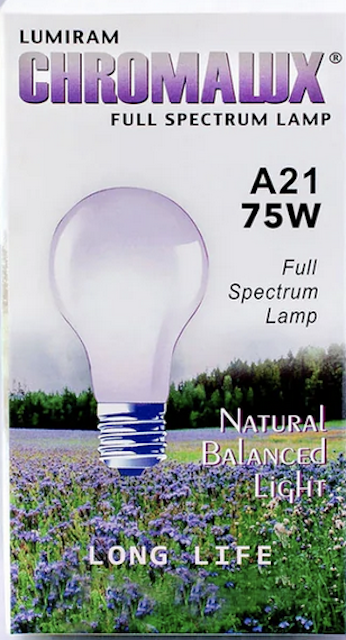 Image of Clear Light Bulb A21-75W