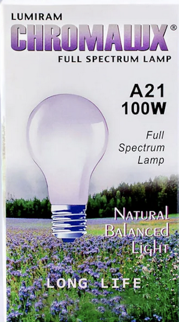 Image of Clear Light Bulb A21-100W