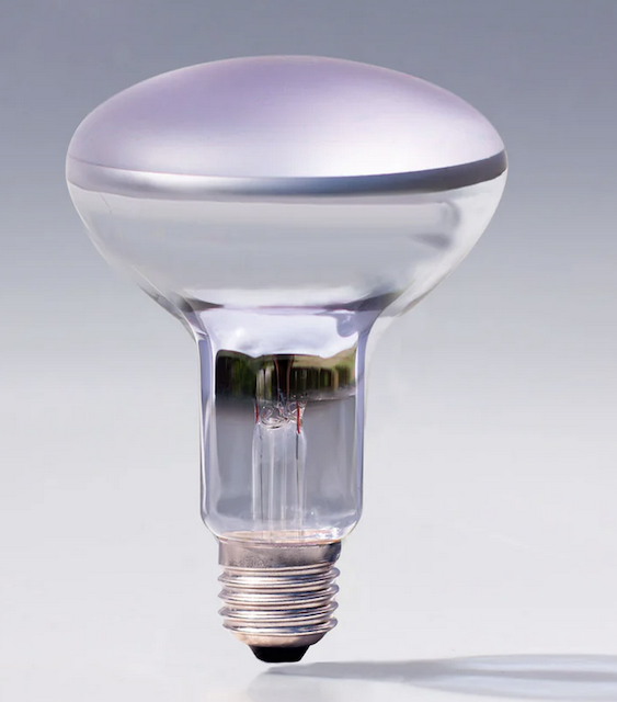 Image of Frosted Reflector Light Bulb R30-72W