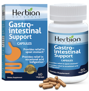 Image of Gastro-Intestinal Support