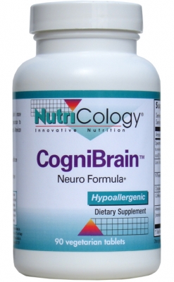 Image of CogniBrain