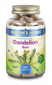 Image of Dandelion Root 510 mg