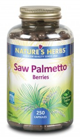 Image of Saw Palmetto Berries