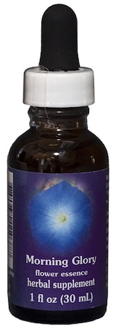 Flower Essence Morning Glory Dropper 1 Ounce